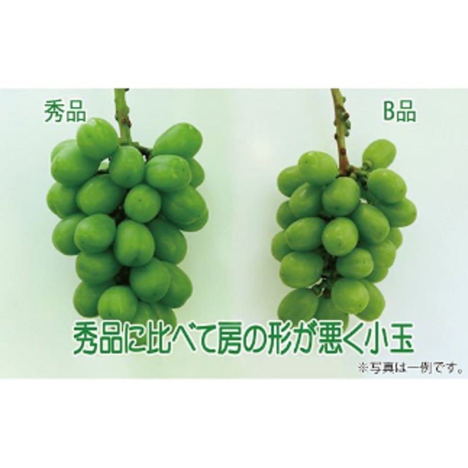 6a9cafb907ebb51cb8b62b9a