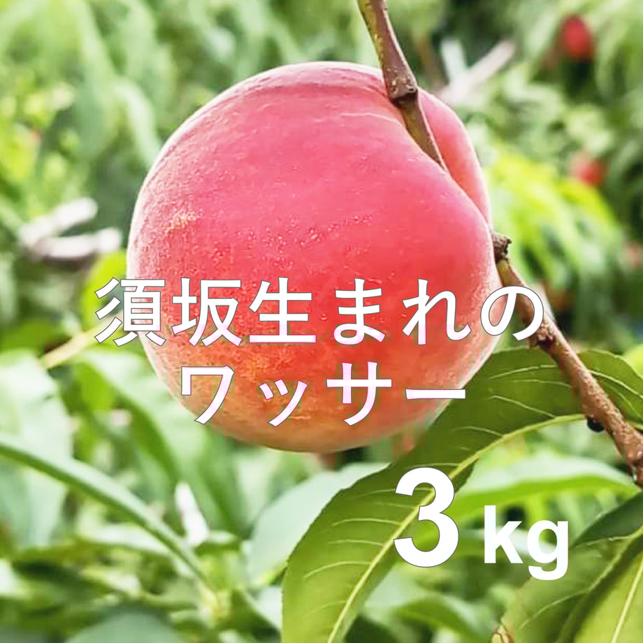 66a60b5ee126f824cf1c9556