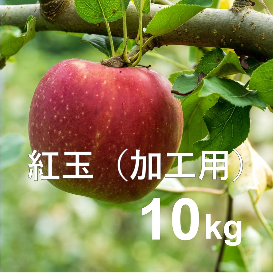 66e79e34a6782d383b380dc3