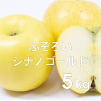 【2025年完売】ふぞろいシナノゴールド(家庭用)5kg☆お得で美味しい♪