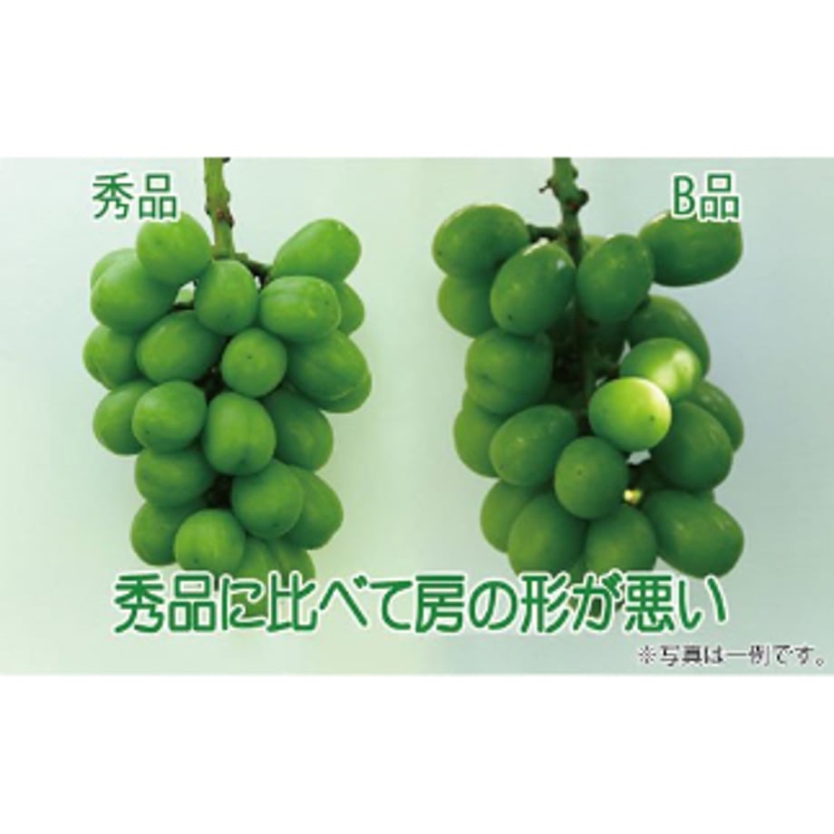 6a9cafb907ebb51cb8b62b9a