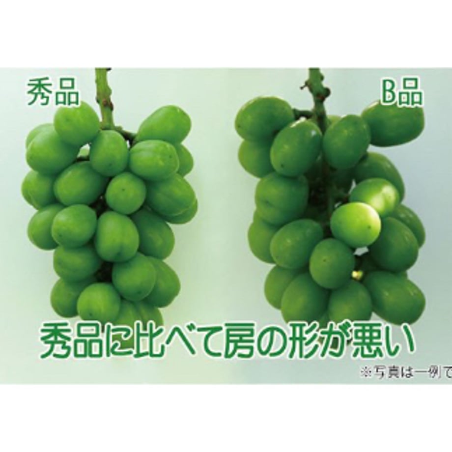 6a9caf81ce75b2763b867761
