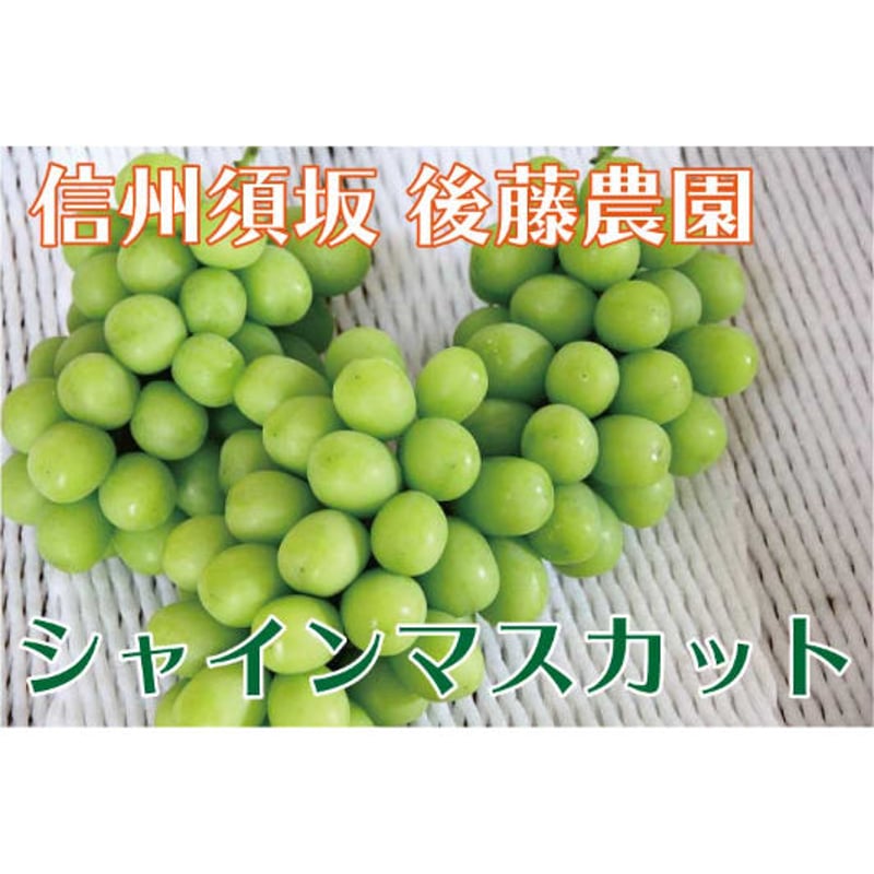 2025年販売終了】秀品シャインマスカット1.8kg(3〜5房)☆たっぷりお得