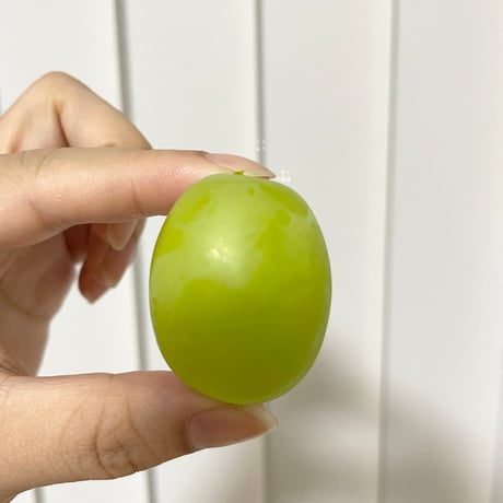 【2026年販売開始】さきどりシャインマスカット秀品1房550g以上☆サマーギフトにも