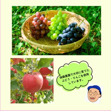 送料無料☆後藤農園のフルーツカレー5袋〈中辛〉＆りんごだれ2本〈醬油・味噌〉 詰め合わせセット