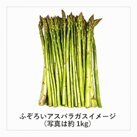 【2026年完売】あま〜い⭐︎ふぞろい春アスパラガス1.5kg 超新鮮！お得！