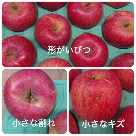 【2023年 販売終了】ふじ 家庭用5kg☆農家直送 甘味と酸味のバランスが絶妙♪