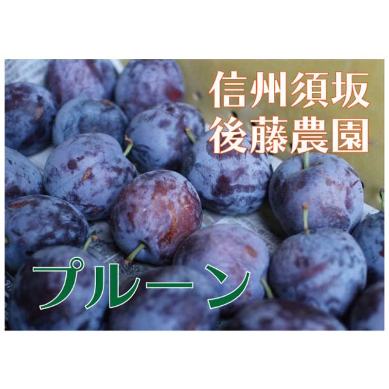 2024年完売】プルーン品種おまかせ2.5kg 食べてキレイに