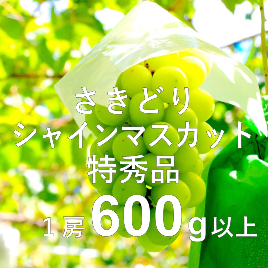 6694f6a453ebeb25a4eeec9a