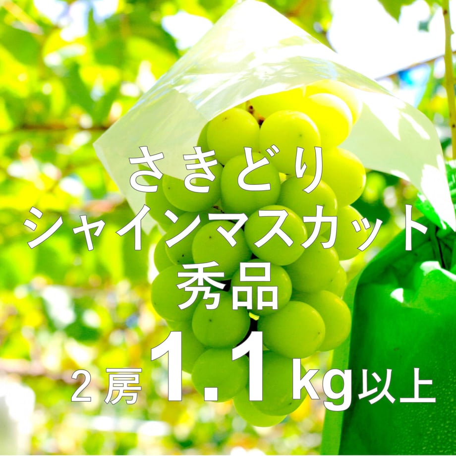 62c04acf40ebf043b04f1160