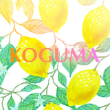 フルーツコグマ｜公式オンラインショップ