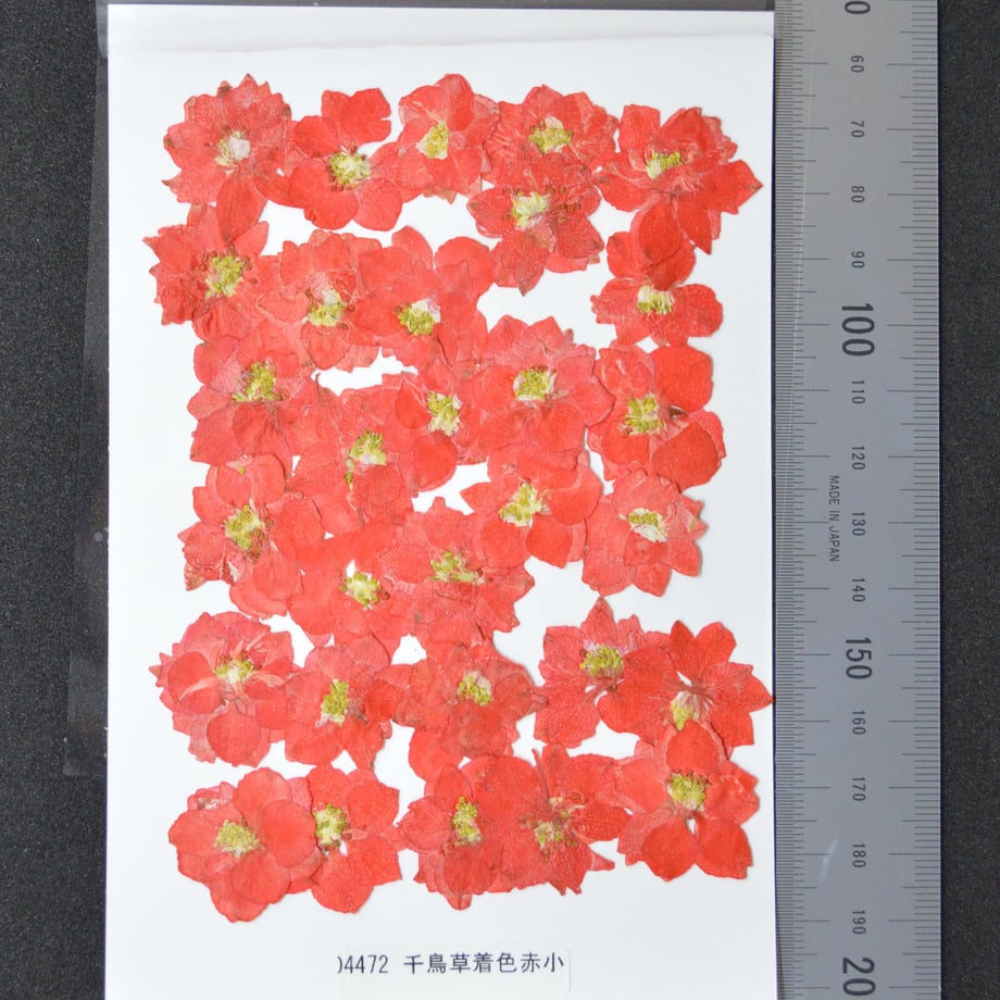 5ec9d947cee9ea6647f246a2