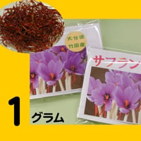 大分県竹田市産　サフラン１ｇ