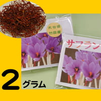 大分県竹田市産　サフラン２ｇ