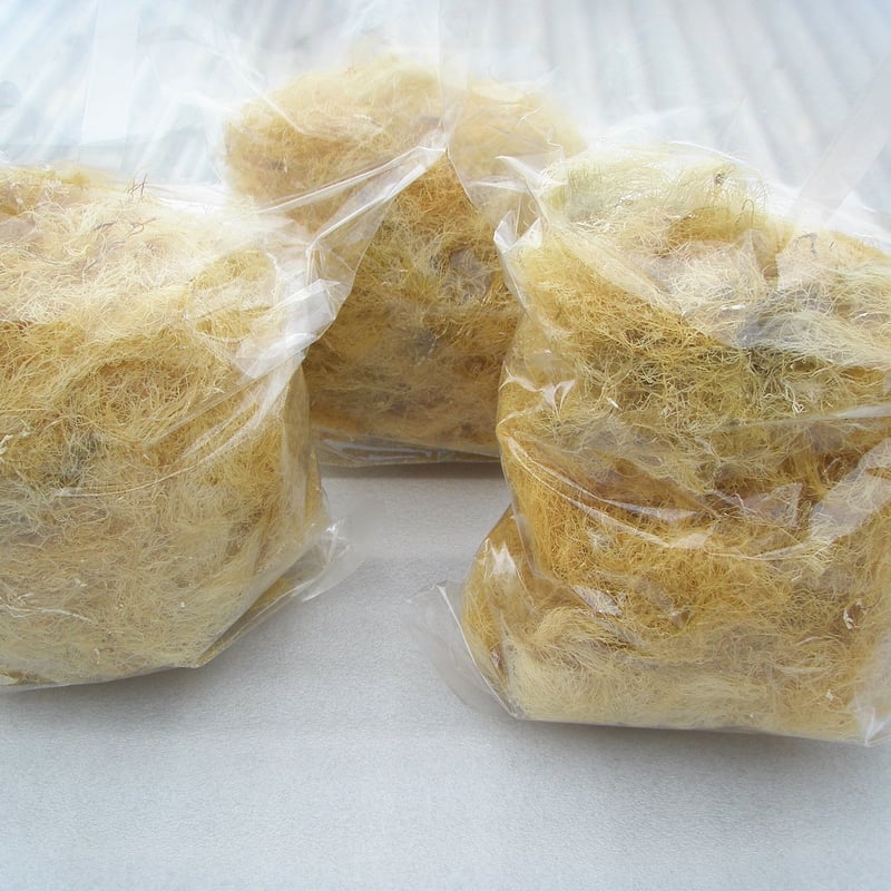 南房総産 天草 ところてん 10キロ訳あり - その他 - bsc-int.co.jp 