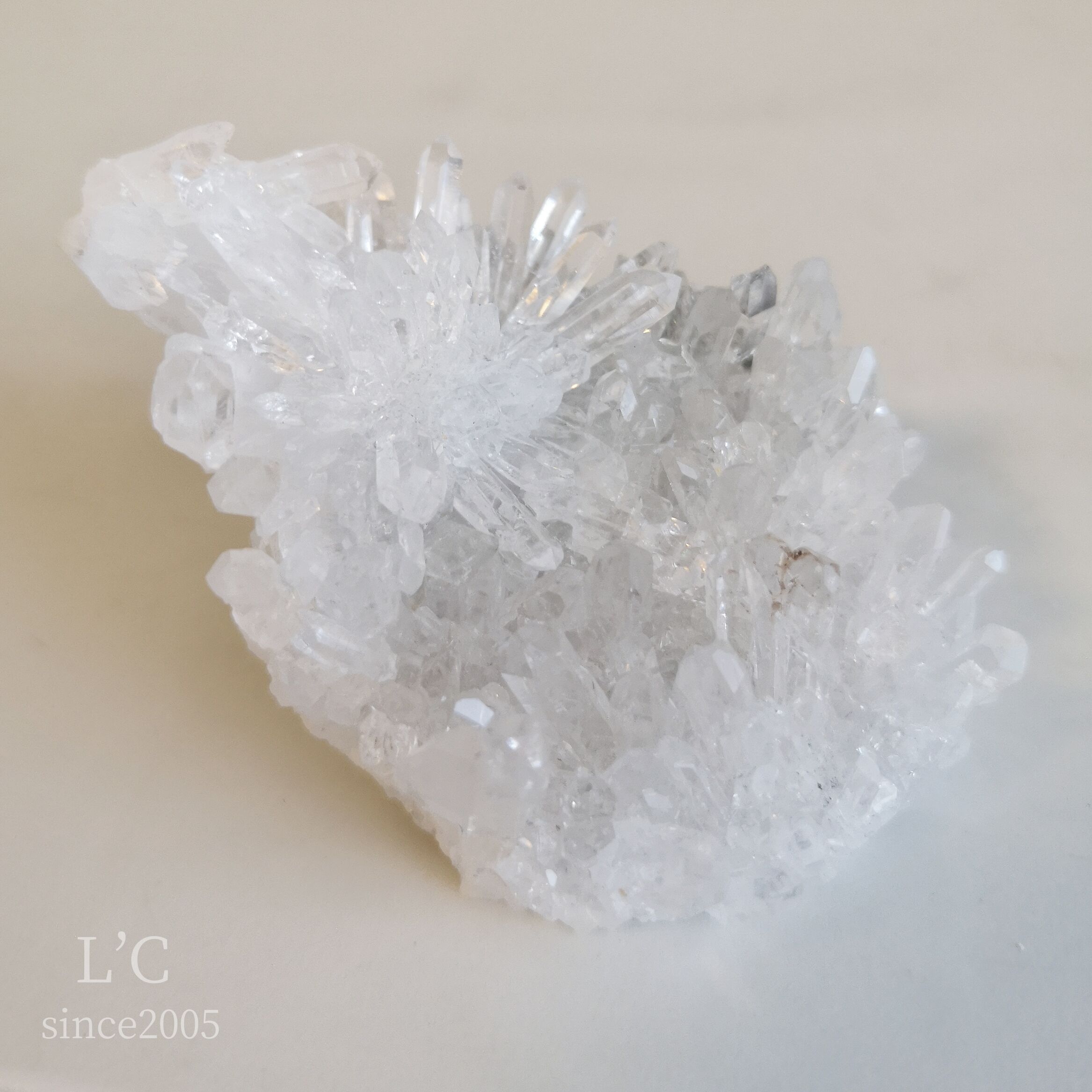 中国四川省産 菊花水晶クラスター② | L'C