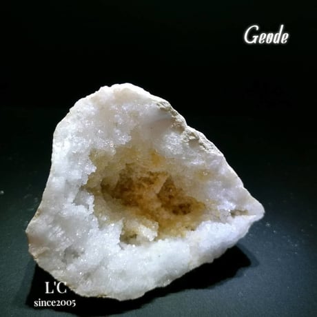 晶洞 | STORES