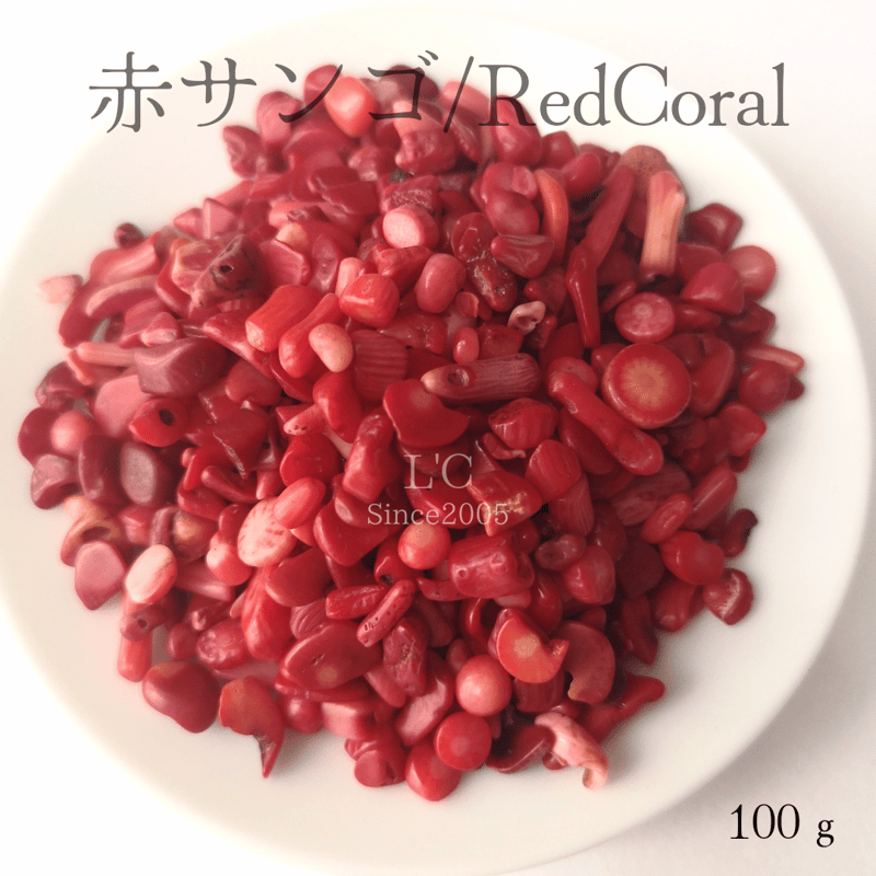 【ご予約No.10】［saeaya］サンキライ赤 赤サンゴさざれ石 | L'C