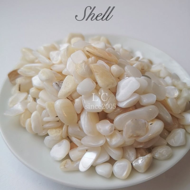シェル さざれ石 | L'C