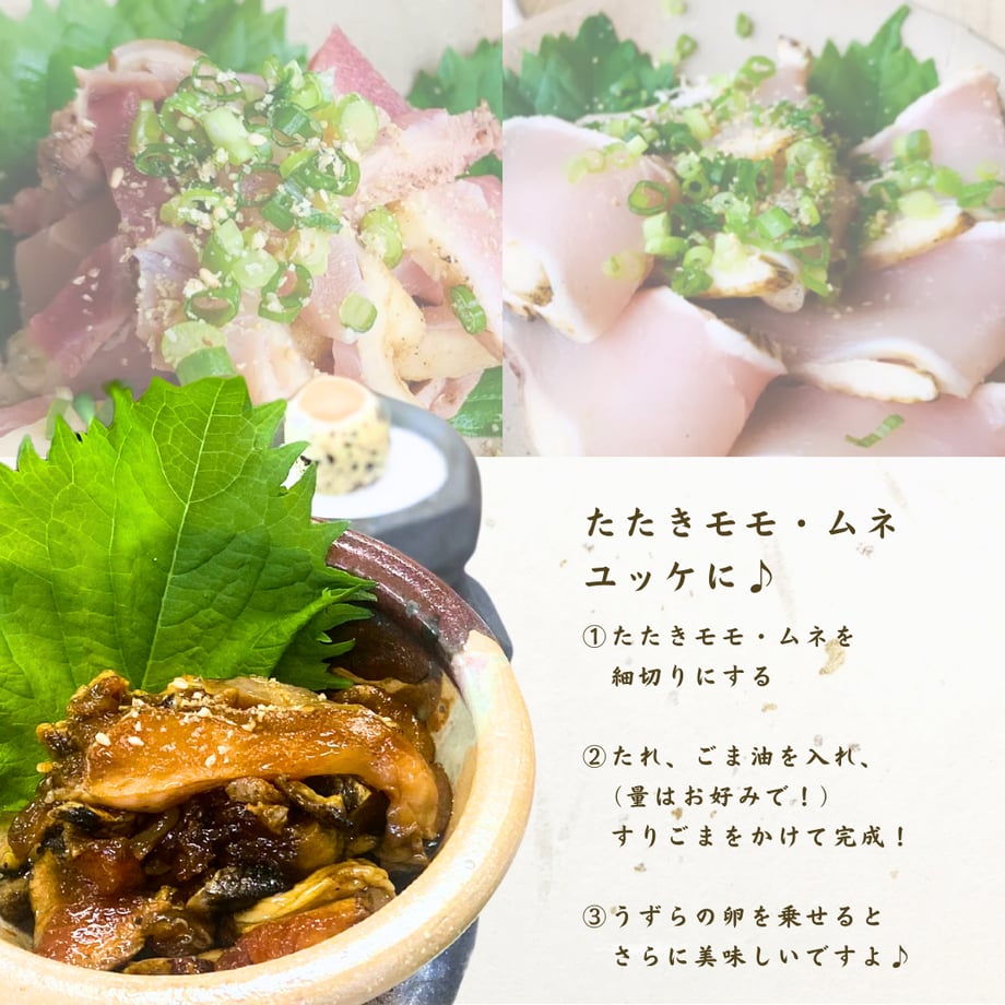 6178d8747d5d81609524c8ff