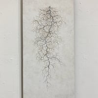 「菌糸図 白土彩 mp-Ⅰ」諫山一也