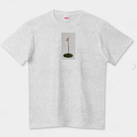 チシオタケTシャツ isayama