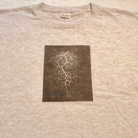 菌糸図Tシャツ isayama