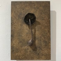 「朽茸 ap-Ⅰ」諫山一也