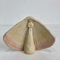 「貝の花嫁４」点滅陶芸