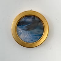 払沢の滝 滝壺