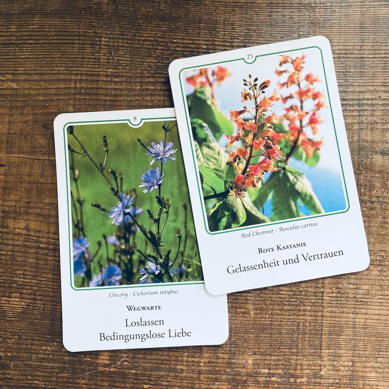 フラワーエッセンス講座 | うかspice+