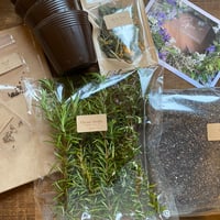 2025年　春のオンライン・ハーブ教室（育てる編）