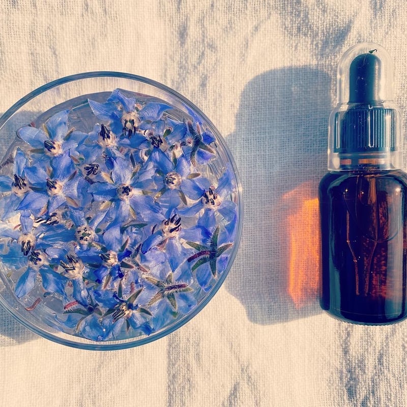 フラワーエッセンス入門 1Day 講座 | うかspice+