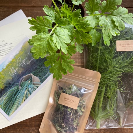 2025年　秋のオンライン・ハーブ教室（育てる編）