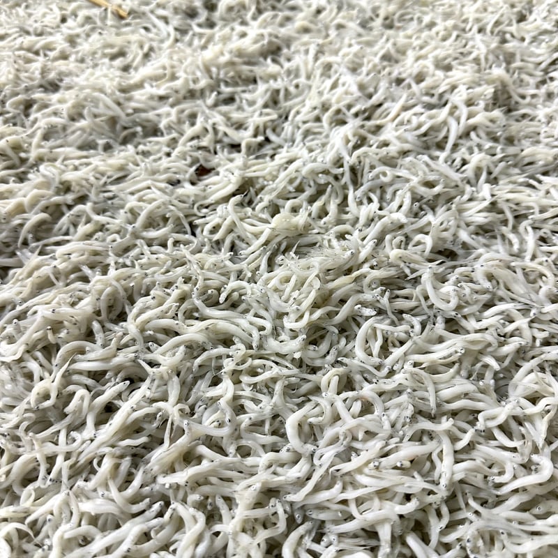 ギフト＞釜揚げしらす＆桜えびセット | しらす屋カネナカ商店