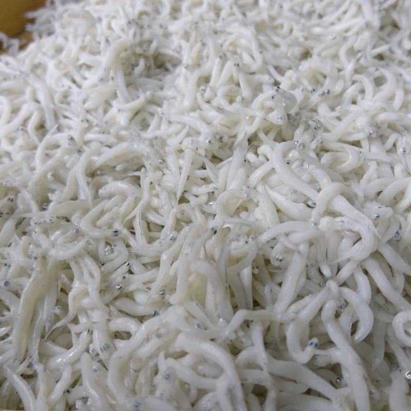 釜揚げしらす80g | しらす屋カネナカ商店