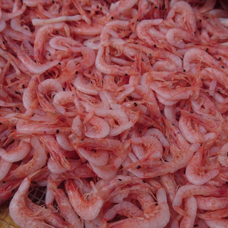 釜揚げ桜えび80g | しらす屋カネナカ商店