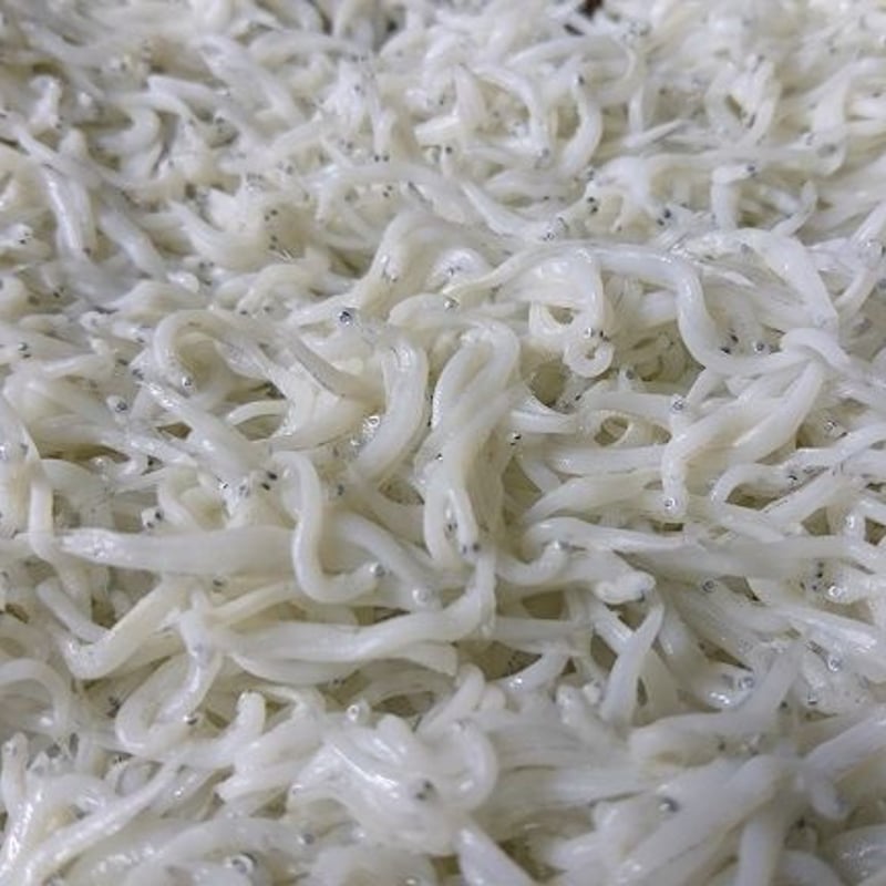 釜揚げしらす1㎏ | しらす屋カネナカ商店