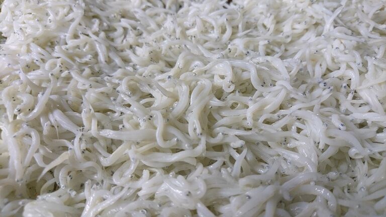 釜揚げしらす80g | しらす屋カネナカ商店
