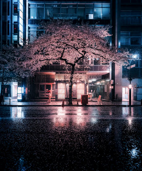 Junya Watanabe