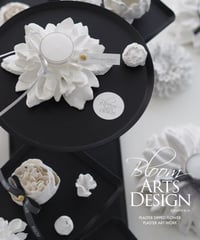 Plaster flower course（Lessonキット・動画）