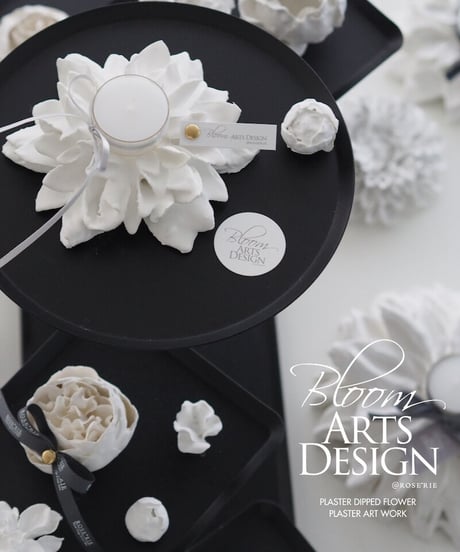 Plaster flower course（Lessonキット・動画）