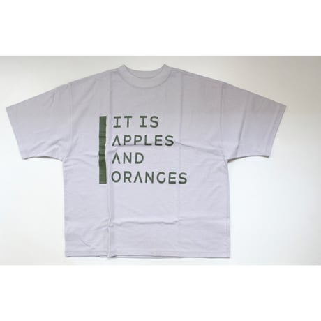 Veritecoeur / LTD-212A  Print Tee(GRAY)