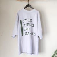 Veritecoeur / LTD-212A  Print Tee(GRAY)