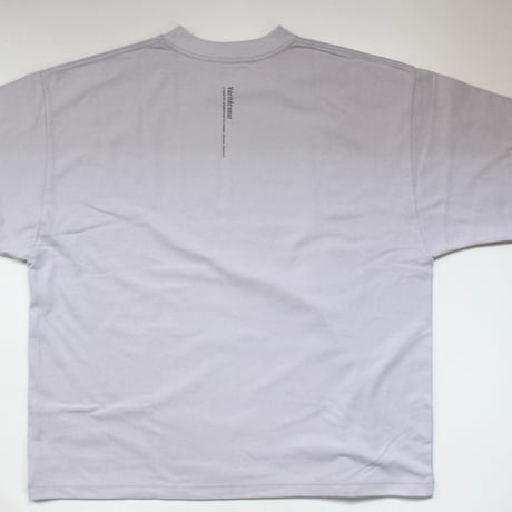 Veritecoeur / LTD-212A  Print Tee(GRAY)