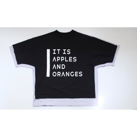 Veritecoeur / LTD-212A  Print Tee(GRAY)