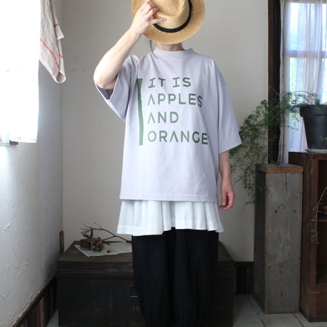 Veritecoeur / LTD-212A  Print Tee(GRAY)