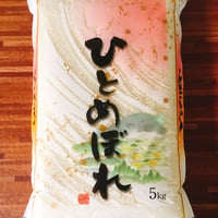 ひとめぼれ(庄内7年)　精米5㎏×2袋(10㎏)