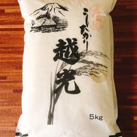 コシヒカリ(庄内7年)　精米5㎏×2袋(10kg)