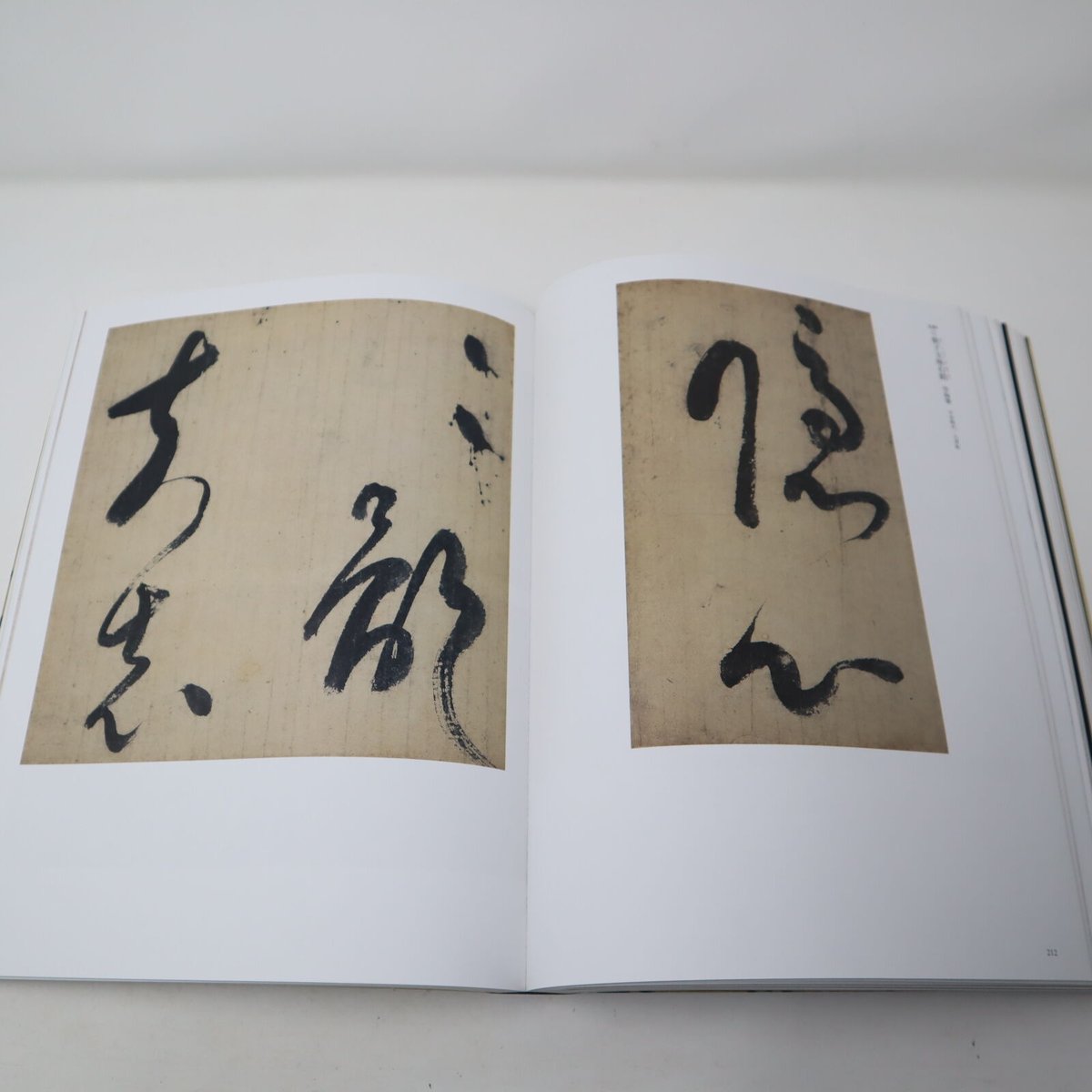 A002 書籍 特別展 顔真卿 王羲之を超えた名筆 図録 2019年 YAN ZHENQING